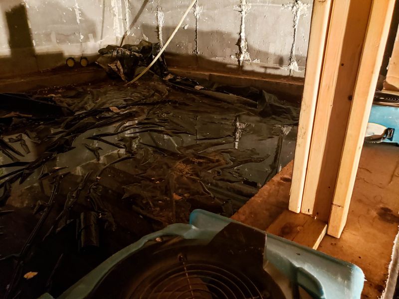 Emergency Water Damage Cleanup in Phoenix, AZ